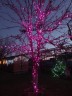 Гирлянда уличная Д: 48м., 300LED ламп, мерцает каждый 9й диод, тёмный провод, цвет свечения розовый(wm50)