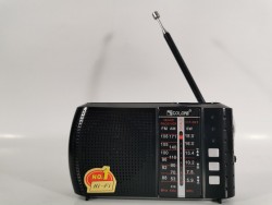 Радио-колонка COLON ICF-8