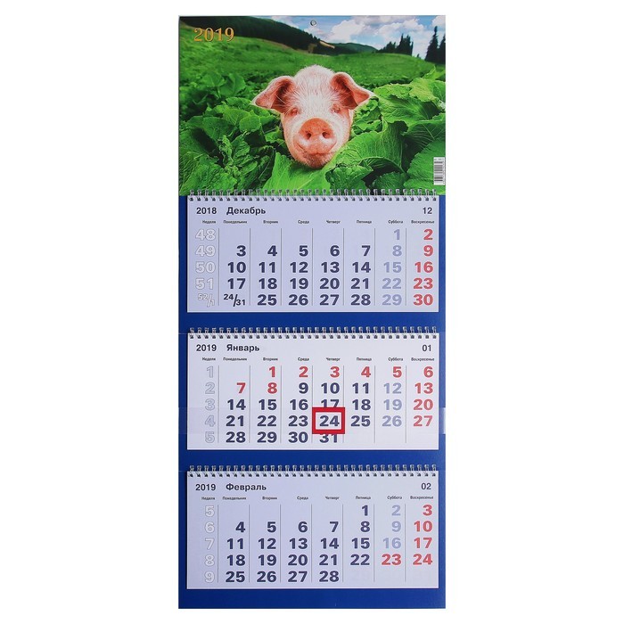 Купить Календарь квартальный, трио "Символ года - 9" 2019 год, 20х47см в магазине Мастер Связи