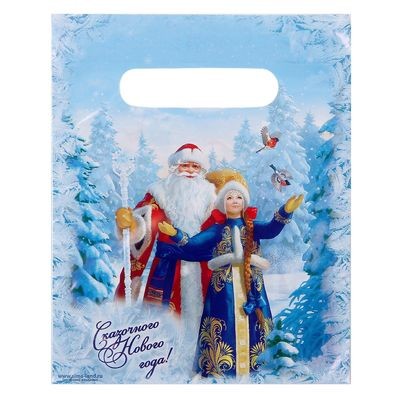 Купить Пакет подарочный полиэтиленовый "Сказочного нового года", дед мороз и снегурочка, 17 х20 см 144578 в магазине Мастер Связи