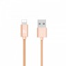 Купить Кабель USB - Apple 8 pin Lightning  Hoco X2 Gold 2M   в магазине Мастер Связи