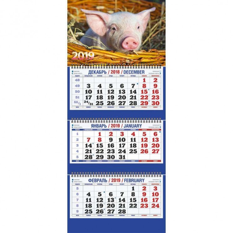 Календарь квартальный, трио "Символ года" 2019 год, 31х69см