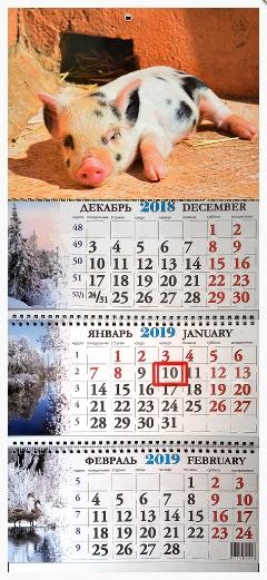 Календарь квартальный, трио "Символ года" 2019 год, 31х69см (IMG_1633-11)
