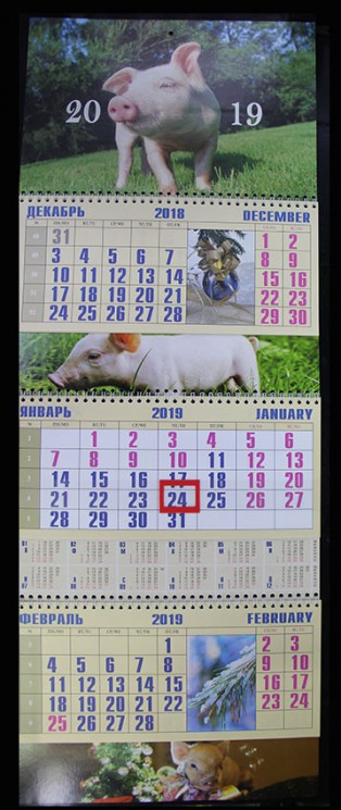 Календарь квартальный, трио "Символ года" 2019 год, 31х69см (IMG_1635-11)